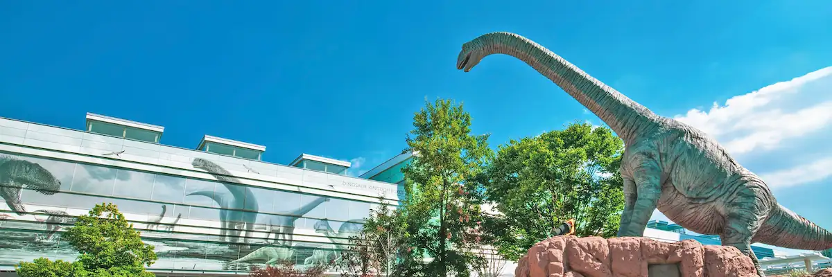 福井県の画像