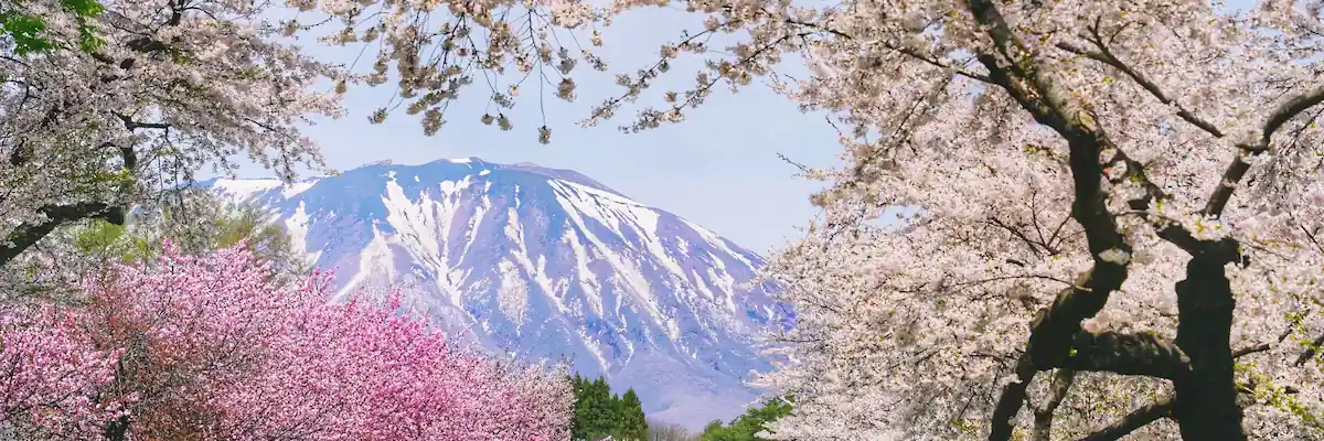 岩手県の画像